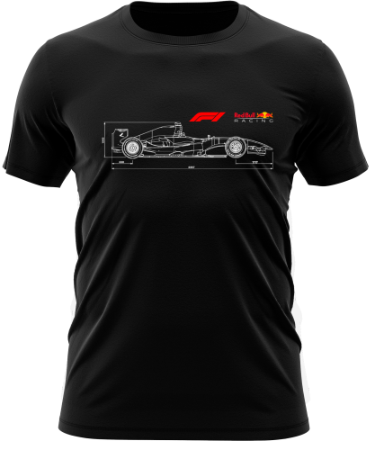 alg_ts_1310_w_P.png