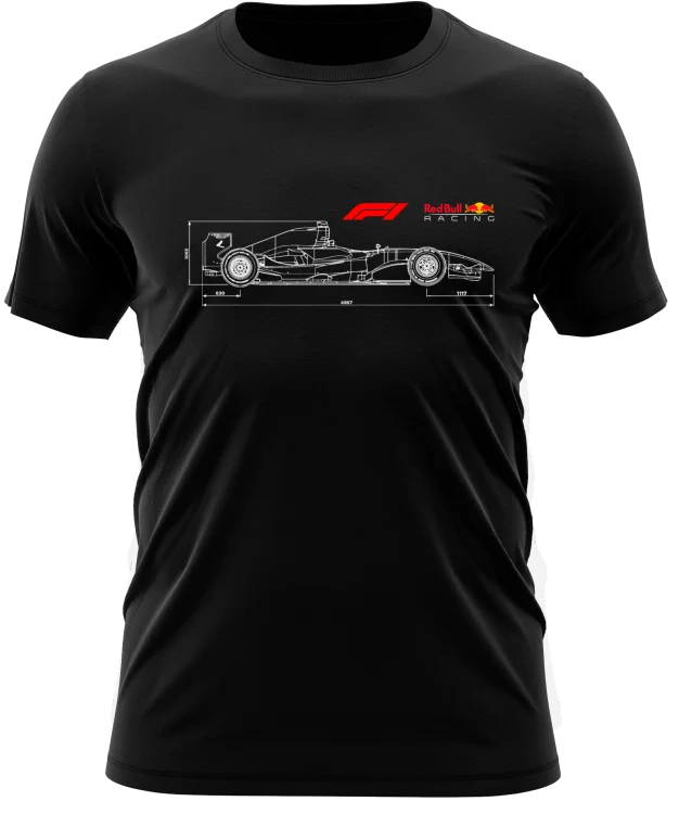 alg_ts_1310_w_P.png